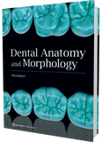 Dental Anatomy and Morphology