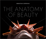 The Anatomy of Beauty