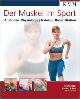 Der Muskel im Sport