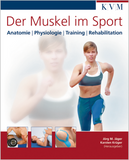 Der Muskel im Sport