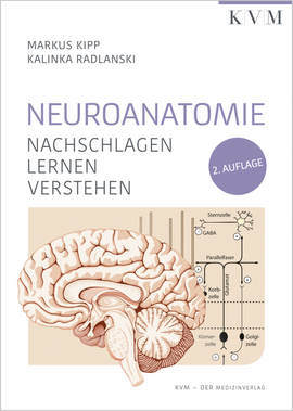 Neuroanatomie