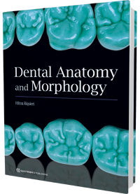 Dental Anatomy and Morphology